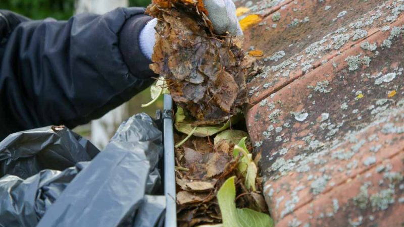 A professional cleaning the gutter from autumn leaves before winter season